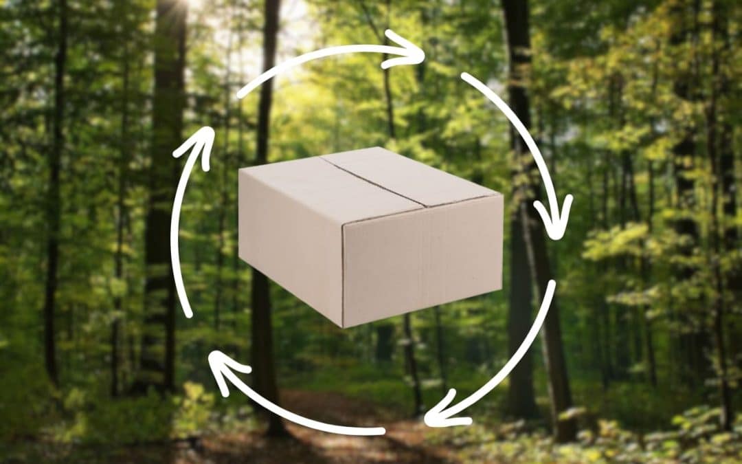 reciclaje